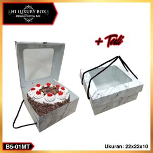 Kotak Kue / Cake Box / Hampers Box Marble Mika/ Packaging Kue / 22x22x10 / B5M