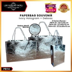 Paper Bag Hadiah Jumbo / Premium Gift Bag / Tas Kado Jinjing /PB14