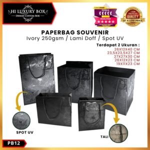 Paper Bag Hadiah Jumbo / Premium Gift Bag / Tas Kado Jinjing / PB12